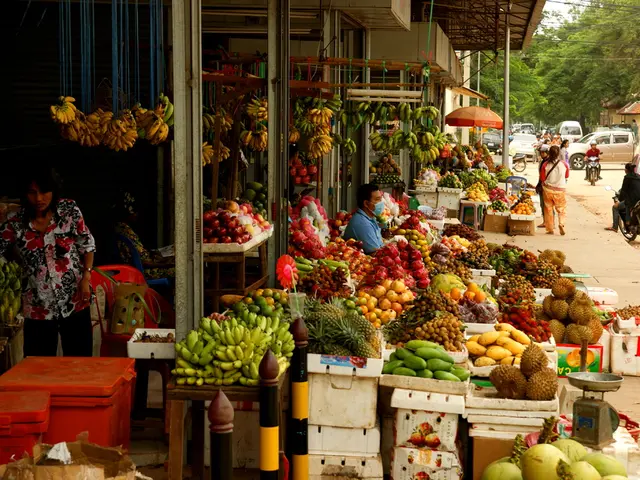 Cross-chain compatible SKATE Token launches, readying for seamless multi-blockchain transactions.