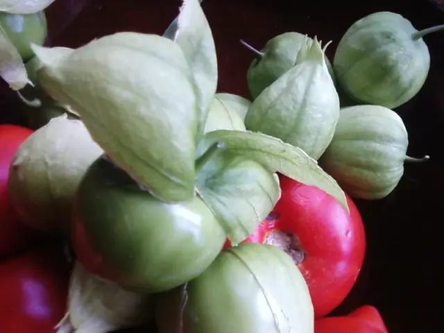 Impact of Climate-Hardy Crops on Agricultural Financial Gains